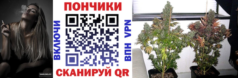 Конопля Bruce Banner  hydra ссылка  Добрянка 