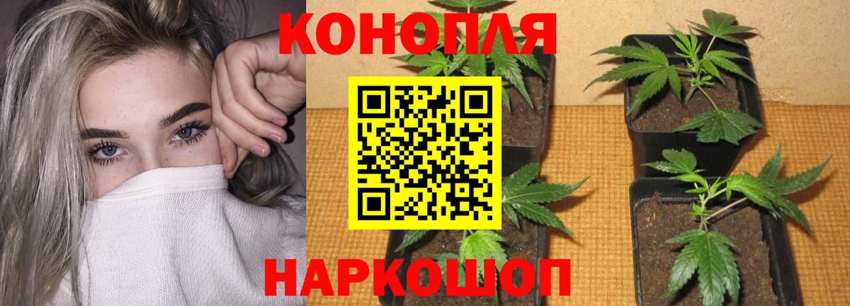 Бошки Шишки VHQ  Конопля THC 21%  Бошки марихуана White Widow  Добрянка  Вход с VPN 